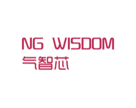 气智芯 NG WISDOM 第11类家用电器商标图样