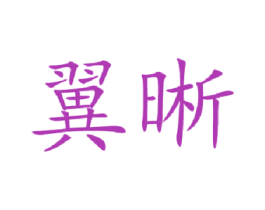 翼晰 第38类通讯传媒商标图样