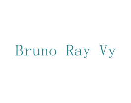 BRUNO RAY VY 第7类机械设备商标图样