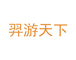 羿游天下 第9类科学仪器商标图样