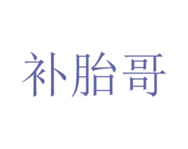 补胎哥 第9类科学仪器商标图样