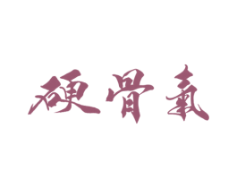 硬骨气 第21类厨房洁具商标图样