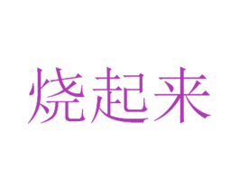 烧起来 第35类广告贸易商标图样