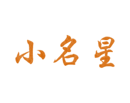 小名星 第41类教育娱乐商标图样