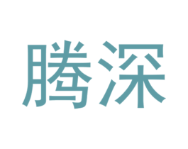 腾深 第12类运输工具商标图样