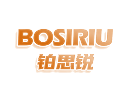 铂思锐 BOSIRIU 第10类医疗器械商标图样
