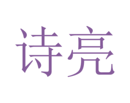 诗亮 第16类办公工具商标图样