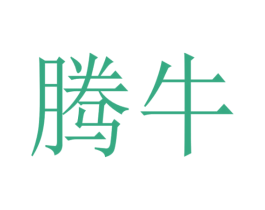 腾牛 第24类布料床单商标图样