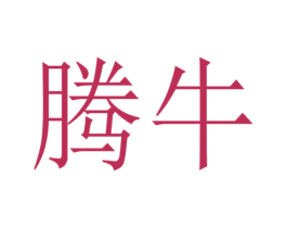 腾牛 第27类地毯席垫商标图样