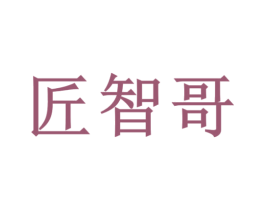 匠智哥 第42类技术服务商标图样