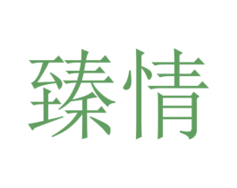 臻情 第27类地毯席垫商标图样