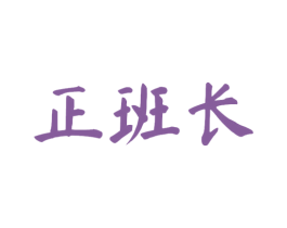 正班长 第9类科学仪器商标图样