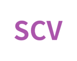 SCV 第14类珠宝钟表商标图样