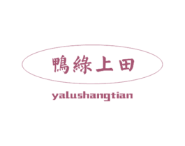 鸭绿上田 第30类小食配料商标图样