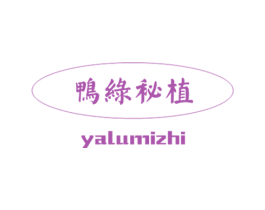 鸭绿秘植 第30类小食配料商标图样