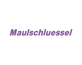 MAULSCHLUESSEL 第25类服装鞋帽商标图样