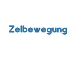 ZELBEWEGUNG 第25类服装鞋帽商标图样