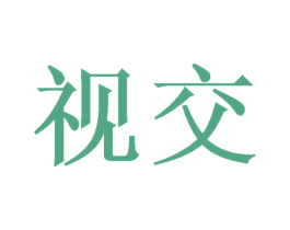 视交 第42类技术服务商标图样