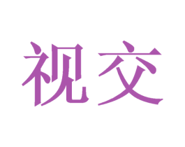 视交 第41类教育娱乐商标图样