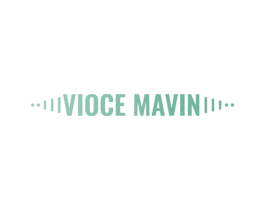 VIOCE MAVIN 第9类科学仪器商标图样