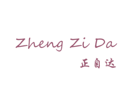 正自达 第9类科学仪器商标图样