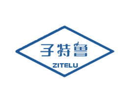 子特鲁 第25类服装鞋帽商标图样