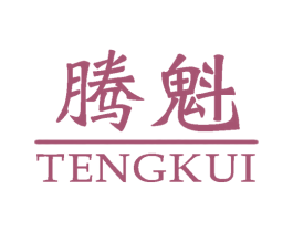 腾魁 第25类服装鞋帽商标图样