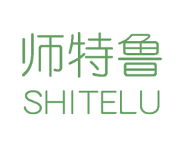 师特鲁 第25类服装鞋帽商标图样