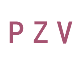 PZV 第27类地毯席垫商标图样