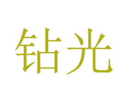 钻光 第14类珠宝钟表商标图样