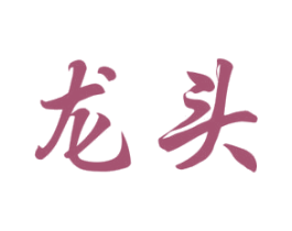 龙头 第5类医药商标图样