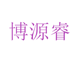 博源睿 第16类办公工具商标图样