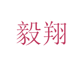 毅翔 第39类运输旅行商标图样