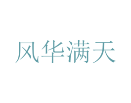 风华满天 第13类军火烟火商标图样