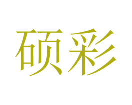 硕彩 第39类运输旅行商标图样