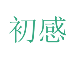 初感 第39类运输旅行商标图样