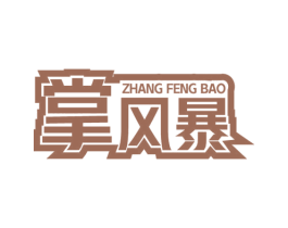 掌风暴 第9类科学仪器商标图样