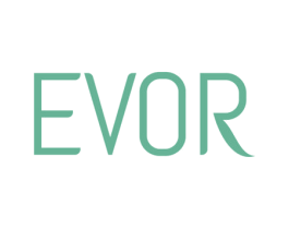 EVOR 第11类家用电器商标图样