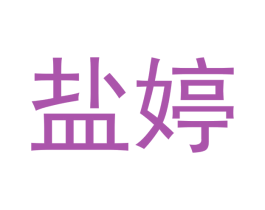 盐婷 第16类办公工具商标图样