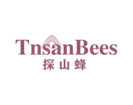 TNSANBEES 探山蜂 第25类服装鞋帽商标图样