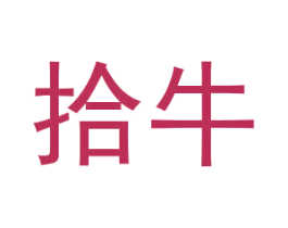拾牛 第9类科学仪器商标图样