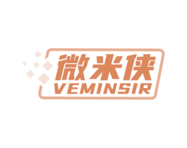 微米侠 VEMINSIR 第42类技术服务商标图样