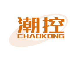 潮控 第28类体育玩具商标图样