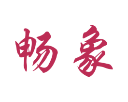 畅象 第21类厨房洁具商标图样