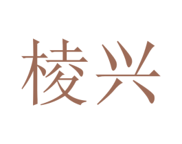 棱兴 第28类体育玩具商标图样