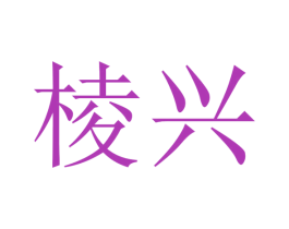 棱兴 第16类办公工具商标图样