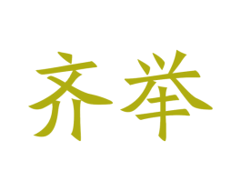 齐举 第21类厨房洁具商标图样