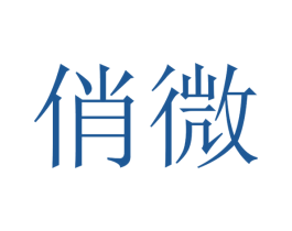 俏微 第27类地毯席垫商标图样