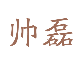 帅磊 第21类厨房洁具商标图样