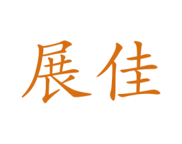 展佳 第27类地毯席垫商标图样